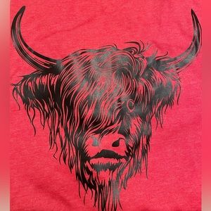 🆕 Highland Cow T-Shirt Bella Canvas Size Large